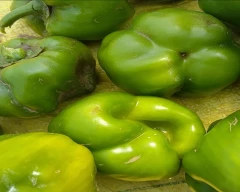 Normal Capsicum for sale in Agra