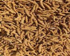 Dry Finger Turmeric for sale in Nalgonda