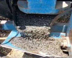 Hybrid Sunflower Seed for sale in Osmanabad