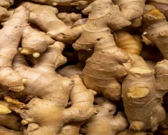 A Grade Quality Ginger for sale in South Delhi