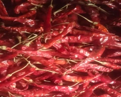 2046 Dry Chilli for sale in Budaun