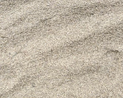 Normal Paddy for sale in Purnia