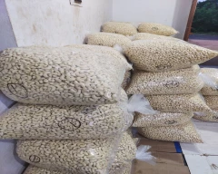 W - 320 Cashew for sale in Visakhapatnam