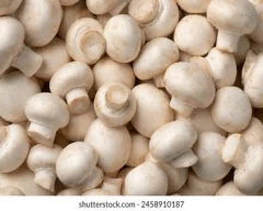 Button Mushroom for sale in Narsinghpur