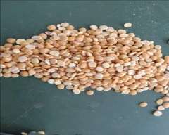 Indian Tur Dal for sale in Ramanathapuram
