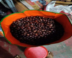 Normal Nutmeg for sale in Pathanamthitta
