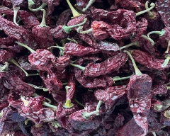 Kashmiri Dry Chilli for sale in Haveri