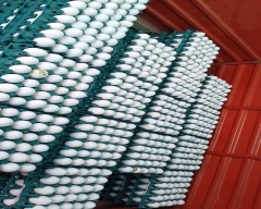 White Egg for sale in Nanded
