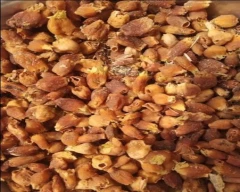 B Grade Quality Mahua for sale in Chitrakoot