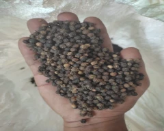 12 MM Pepper for sale in Ramanathapuram