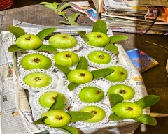 Taiwan Pink Guava for sale in Kozhikode