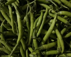 Hybrid Green Chilli for sale in Sangrur