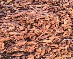 Normal Tamarind for sale in Madurai