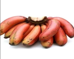 G-9 Banana for sale in Kanyakumari