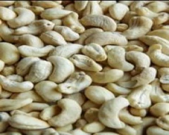 W - 180 Cashew for sale in Chittoor