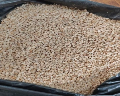B Grade Quality Sesame for sale in Junagadh