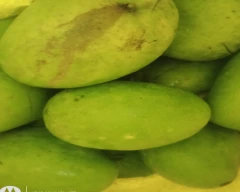 Bangenpalli Mango for sale in Cuddalore