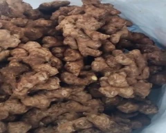 A Grade Quality Ginger for sale in Vizianagaram