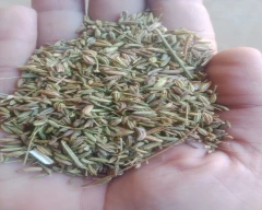 Normal Fennel Seeds for sale in Firozabad