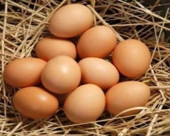 Desi Egg for sale in Latur