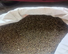 Other Urad for sale in Pratapgarh