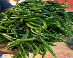 G4 Green Chilli for sale in Hardoi