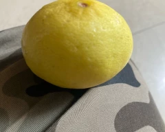 A Grade Quality Lemon for sale in Bharuch