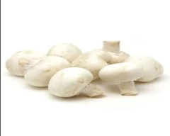 Button Mushroom for sale in Jamtara