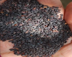 Black Sesame for sale in Tiruvarur