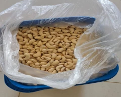 W - 240 Cashew for sale in Bengaluru Urban