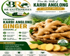 A Grade Quality Ginger for sale in Darjeeling