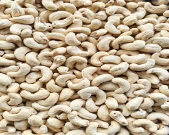 W - 240 Cashew for sale in Kurnool