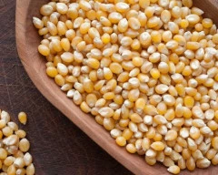 B Grade Quality Maize required in Nirmal