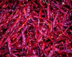 Guntur Dry Chilli required in Siwan