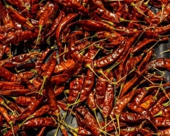 Teja Dry Chilli required in Cuddalore