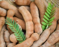 A Grade Quality Tamarind required in Madurai