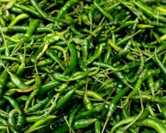 Normal Green Chilli required in Mumbai City