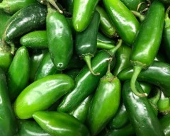 G4 Green Chilli required in Bengaluru Rural