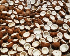 Normal Copra required in Barmer