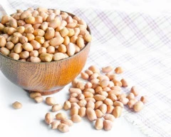 Normal Groundnut required in New Delhi