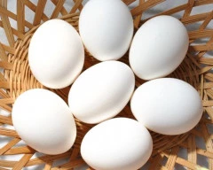 White Egg required in Nalanda
