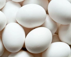 White Egg required in Bengaluru Urban