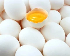 White Egg required in Palghar
