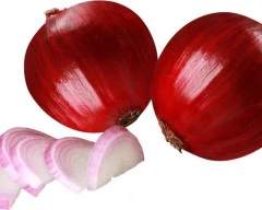 A Grade Quality Onion required in Gorakhpur