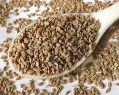 Normal Ajwain required in Jamnagar