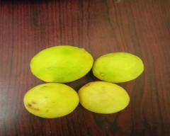 A Grade Quality Lemon for sale in Udaipur