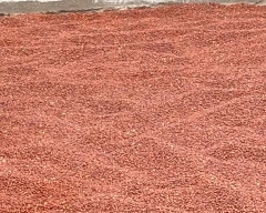 Indian Tur for sale in Yadgir