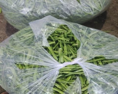 Hybrid Cluster Beans for sale in Buldhana