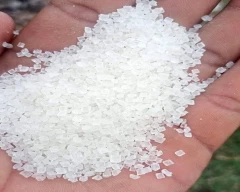 M30 Sugar for sale in Meerut