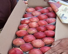Kashmiri Apple for sale in Baramulla